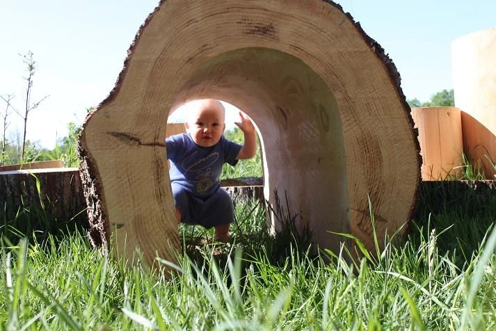 How to Choose a Hollow Log for Your Natural Playground