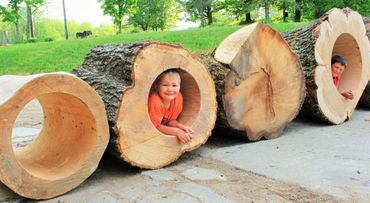 What Is a Crawl-Through Log? Everything Buyers Need to Know
