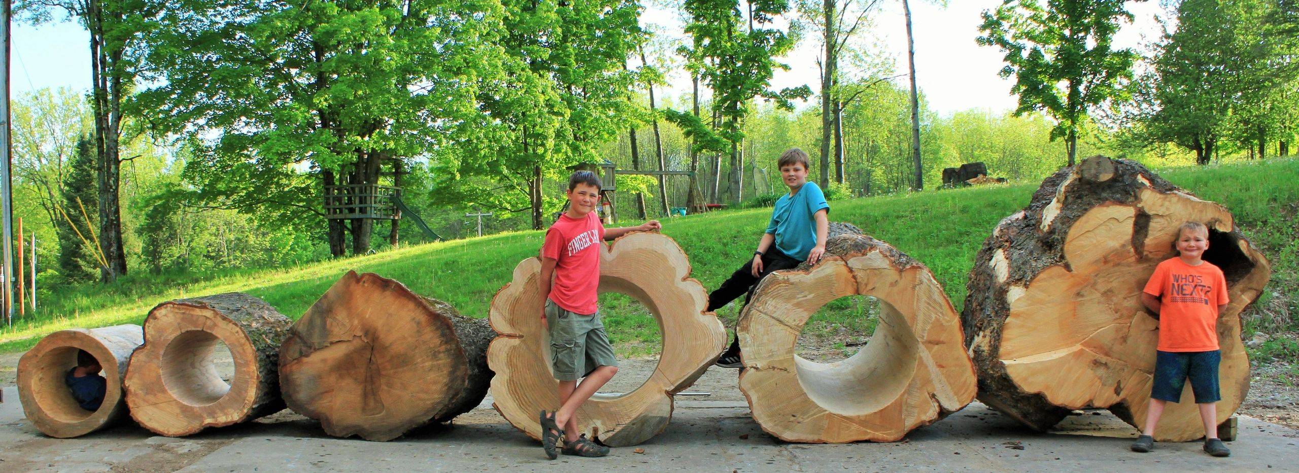 Investing in Nature: Why a Real Hollow Log Offers the Ultimate Long-Term Budget ROI for Public Parks