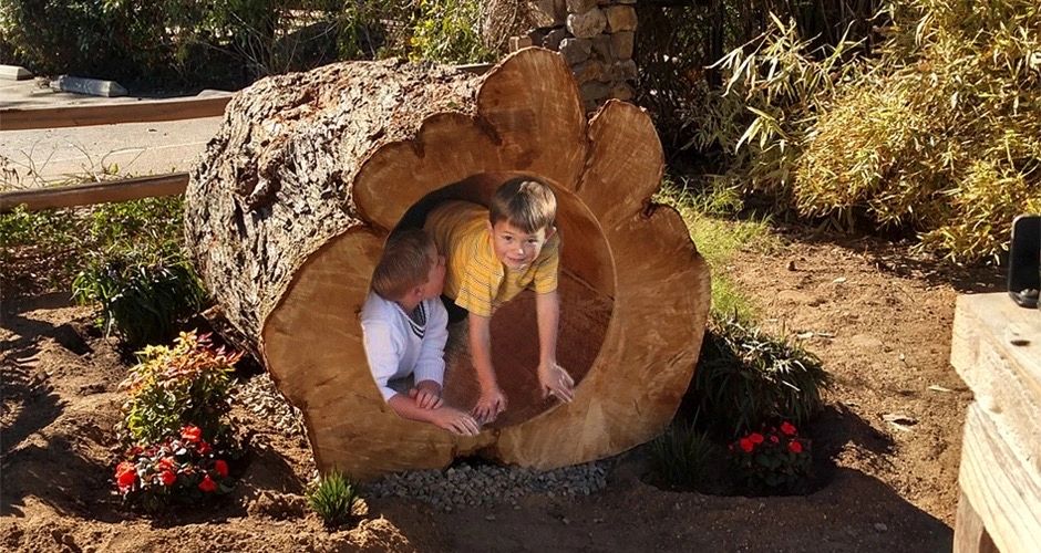The Sensory Magic of Natural Play: What a Hollow Log Does That Plastic Never Can