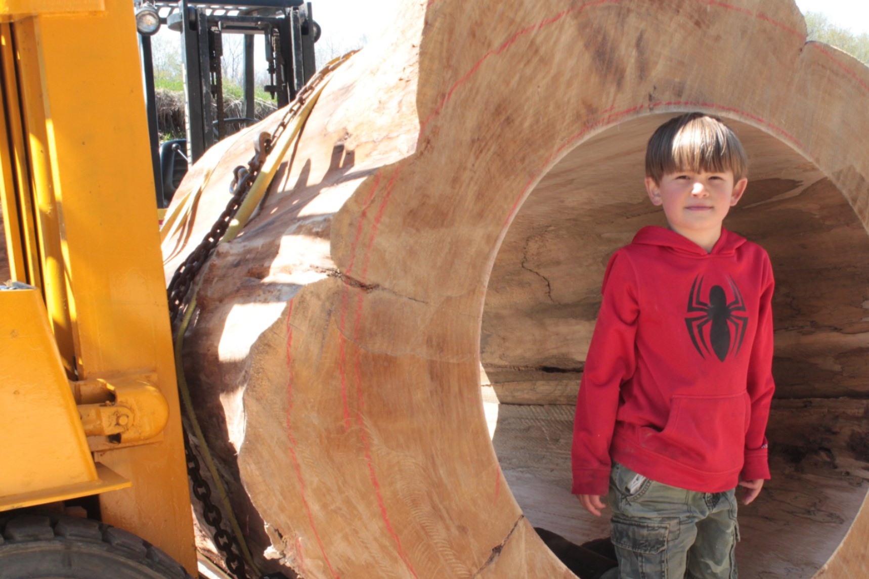 Boy in a red Spider-Man hoodie standing inside a massive freshly-hollowed IC WOOD log cross-section on yellow forklift forks — annular growth rings and red chalk layout lines visible on the face, bark-on exterior