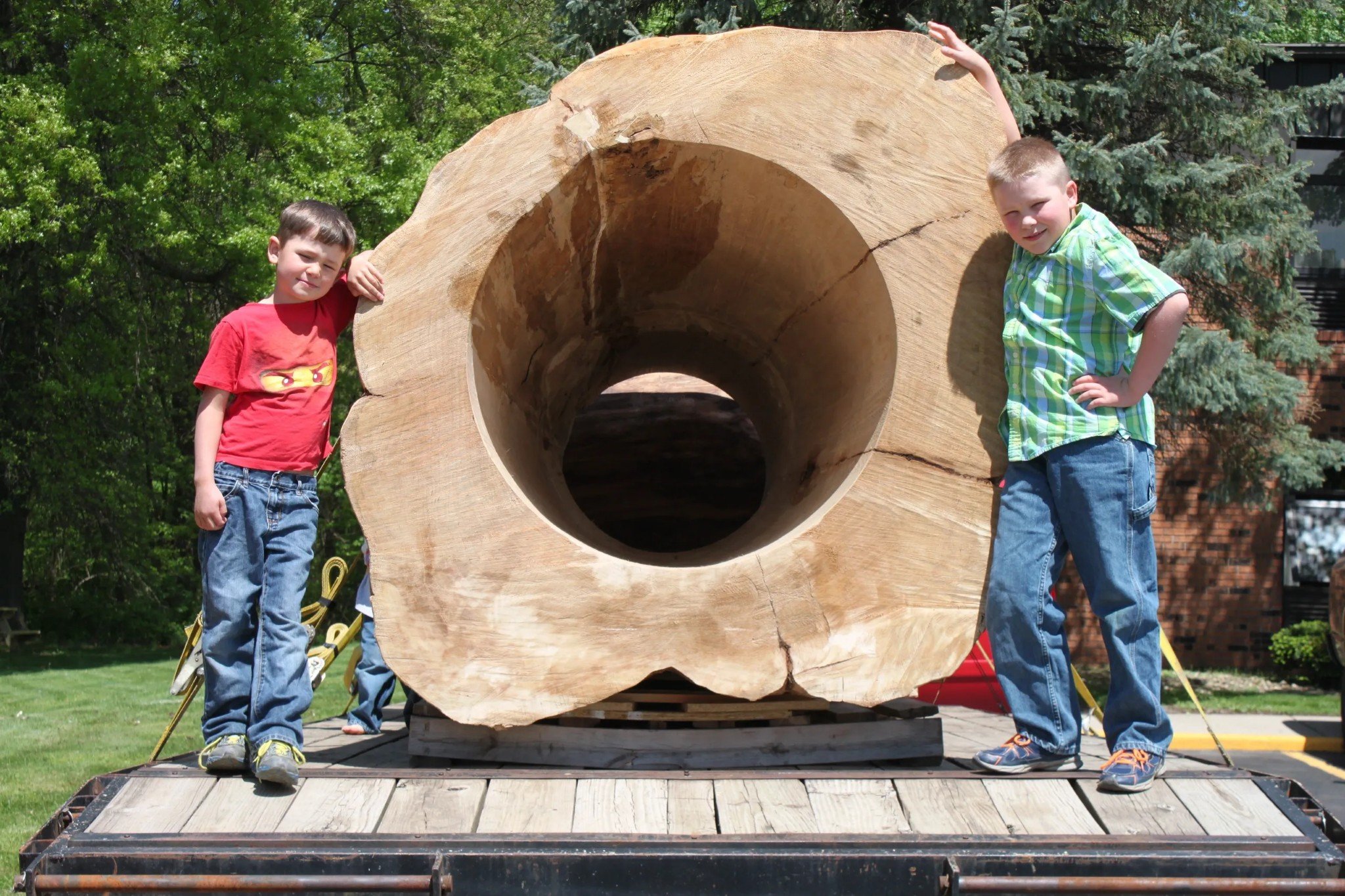 Hollow Logs for Zoo Enrichment: Why Natural Wood Beats Artificial Every Time