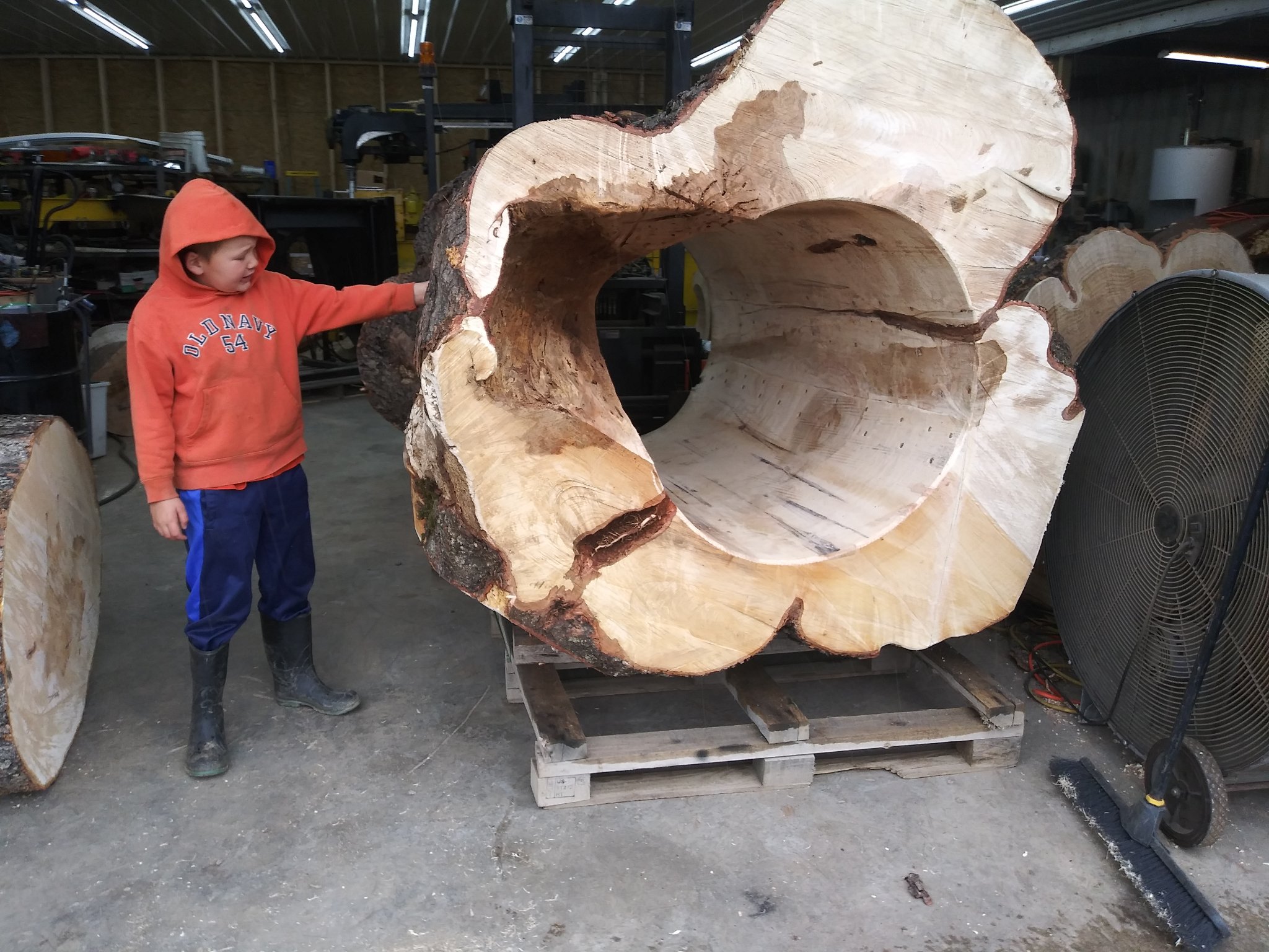 Boy in orange hoodie standing next to a massive freshly-hollowed log cross-section on a pallet — pale cream interior, natural organic shape, bark-on exterior