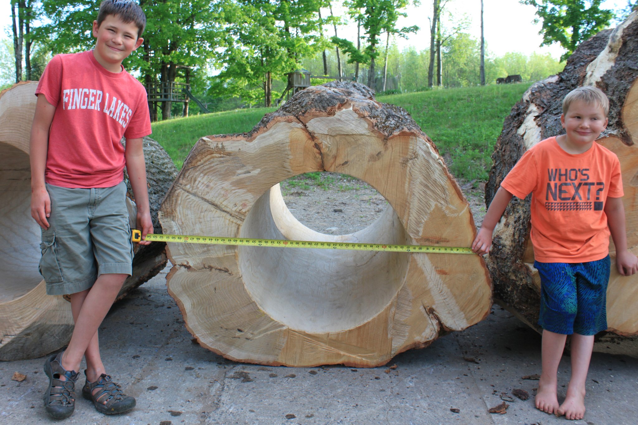 Two boys with a tape measure spanning a massive IC WOOD hollow log cross-section — the definitive scale photo, Upstate New York