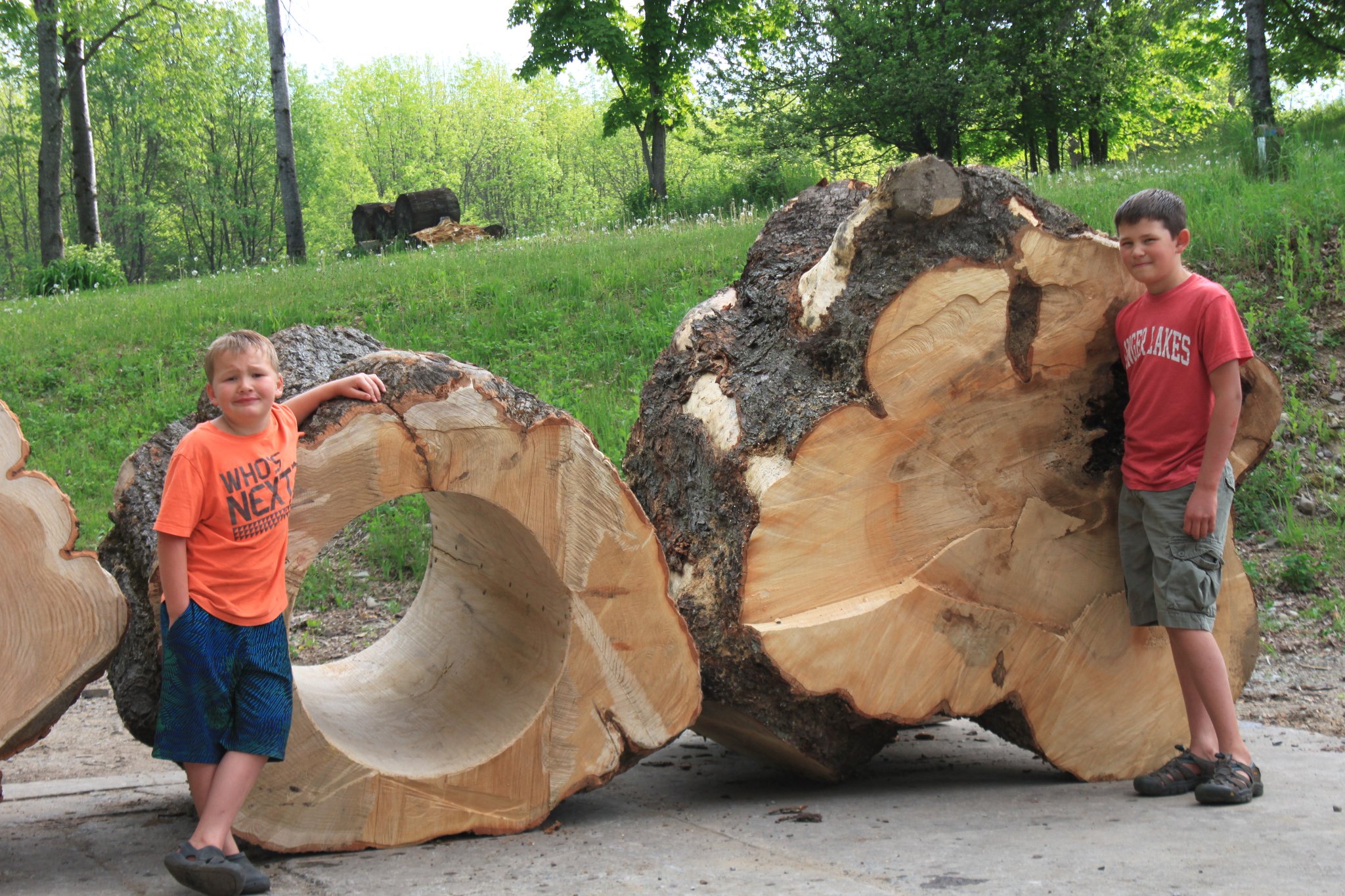 Two boys standing next to two massive raw IC WOOD hollow log cross-sections — 'Who's Next?' and 'Finger Lakes' shirts, green hillside behind them