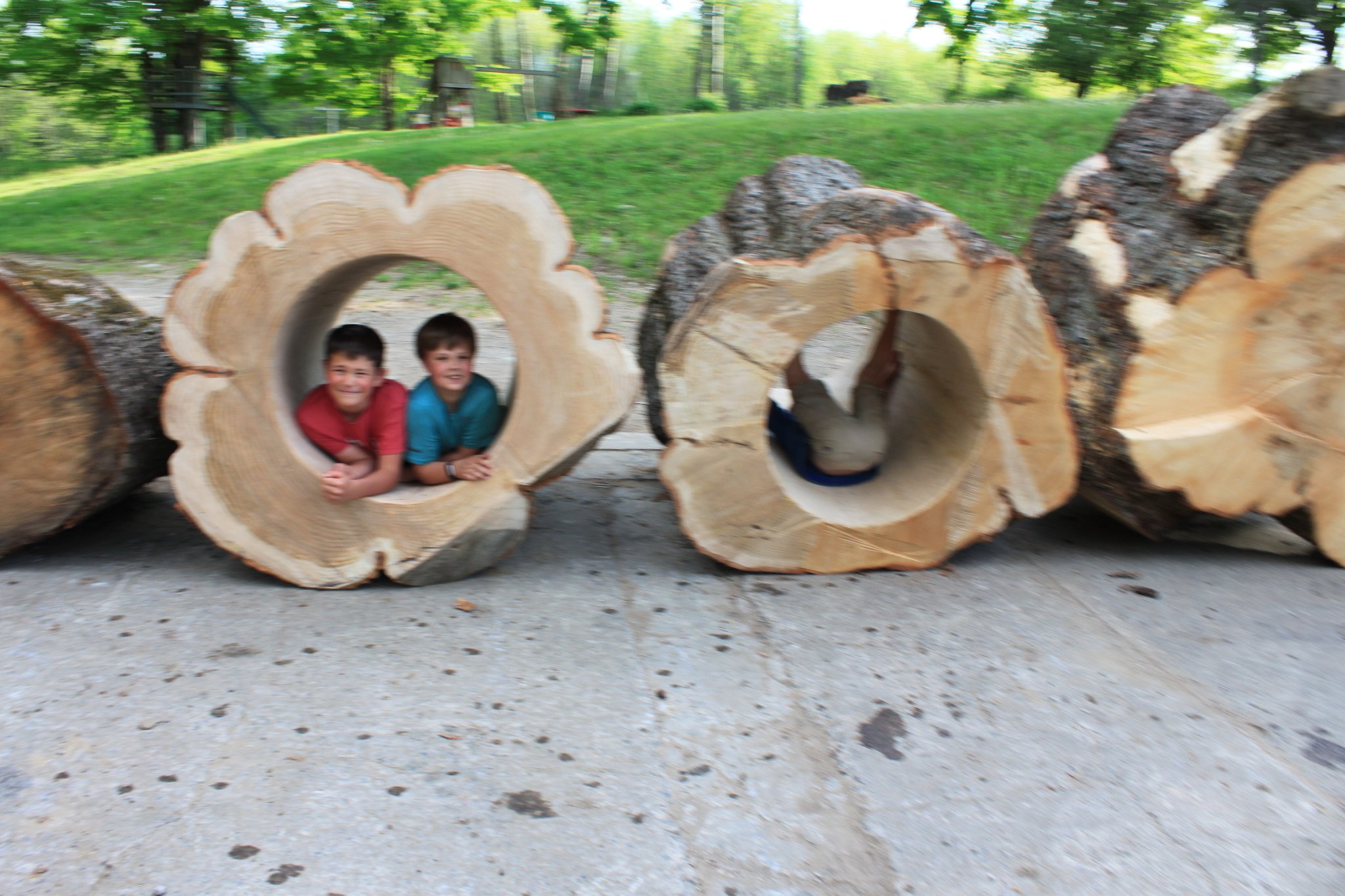Two smiling boys peeking out from inside a massive IC WOOD hollow log cross-section — red and teal shirts, four logs in a row visible
