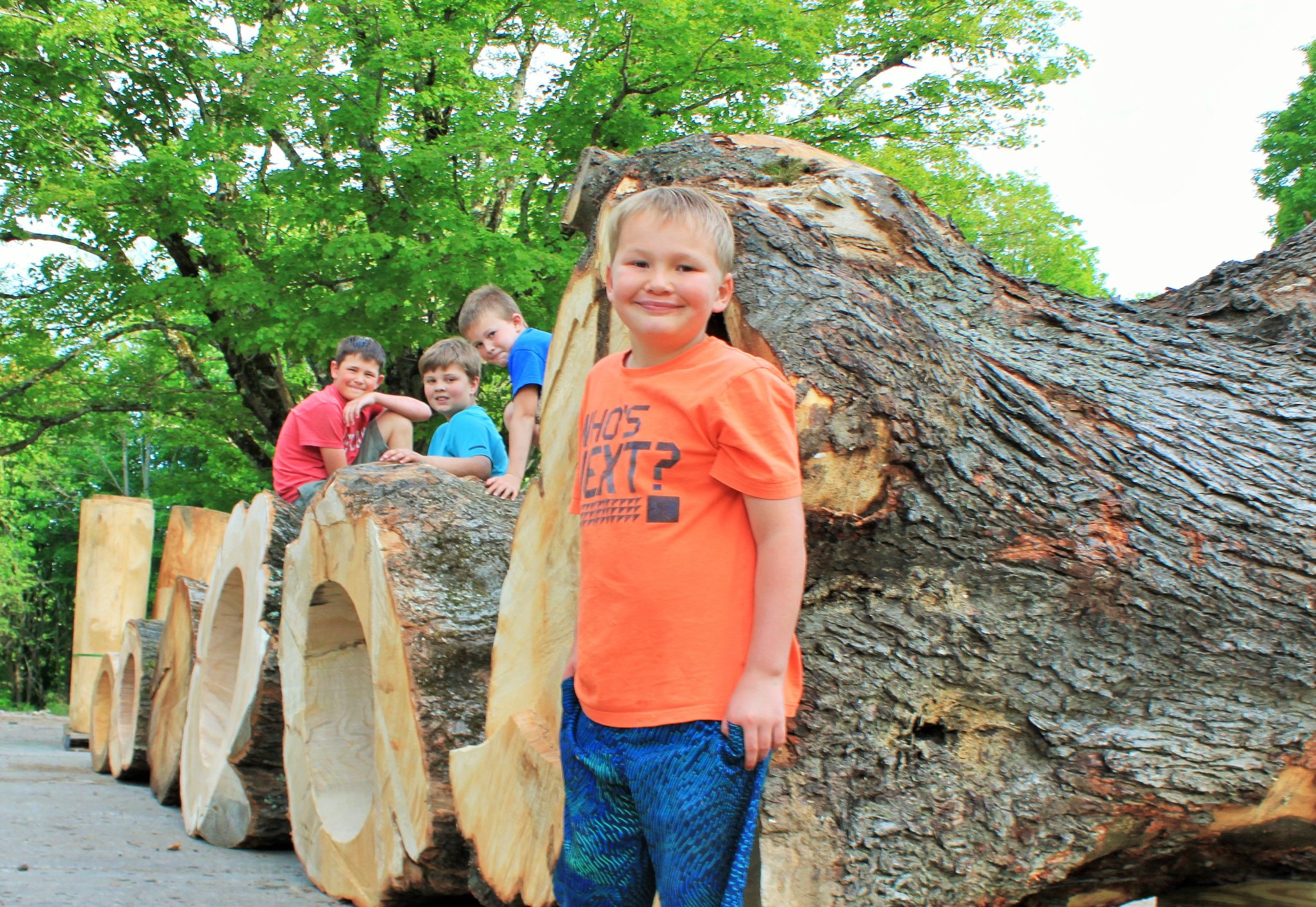 Four boys standing next to a massive raw IC WOOD log — bark-on exterior, freshly cut hollow cross-sections in a row, lush green trees. The definitive raw scale photo.