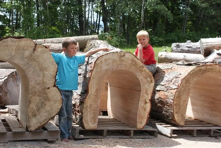 IC WOOD pass-through hollow log tunnel zoo enrichment otter red panda playground crawl tunnel NY